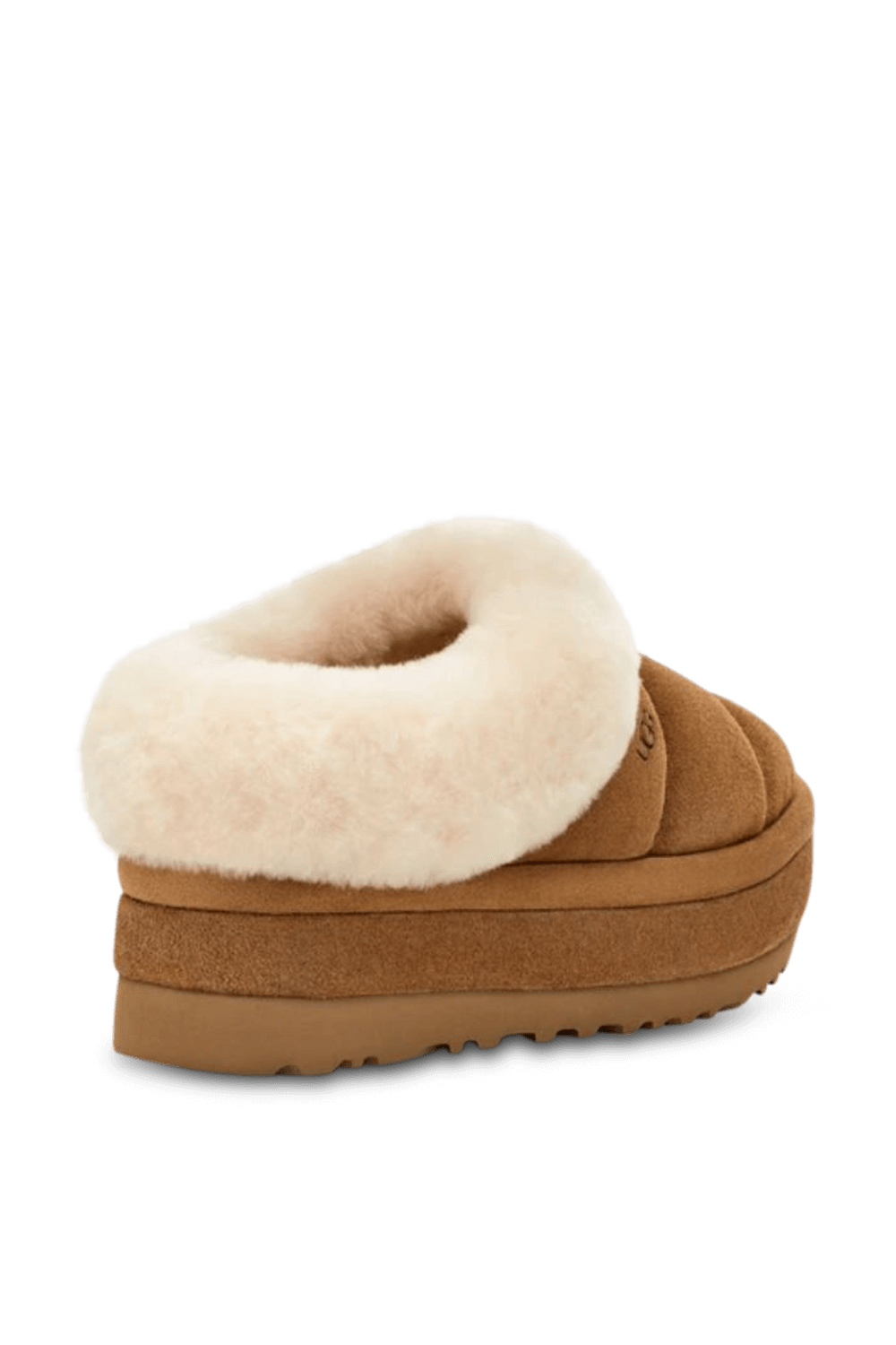 תמונה אחורית של נעלי טזילה