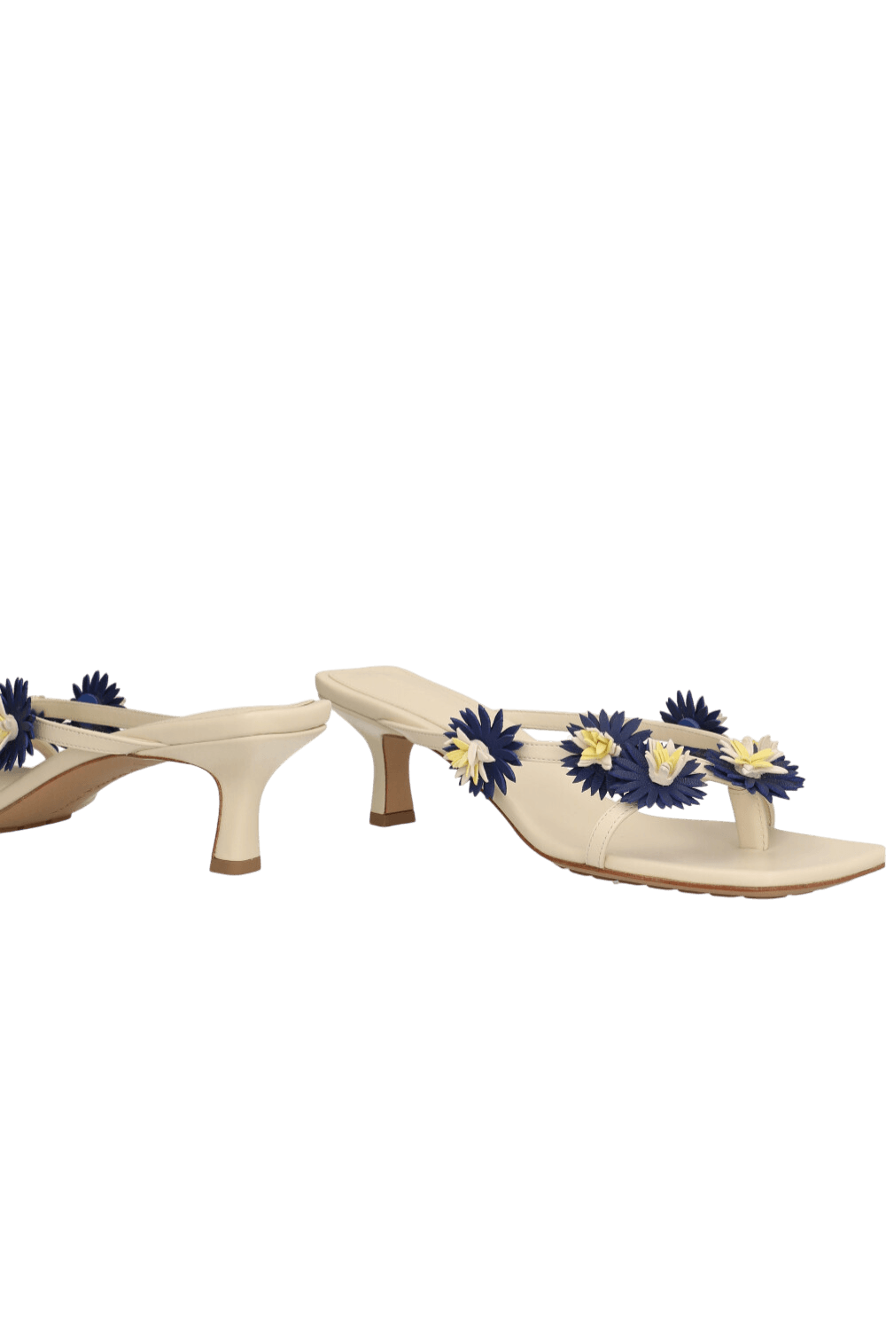 תמונת תקריב של סנדלי עקב ריבה