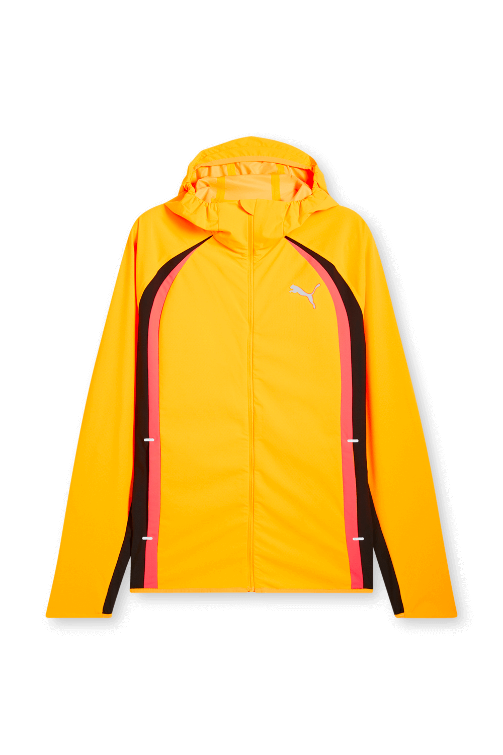 תמונה קידמית של ז'קט ספורט