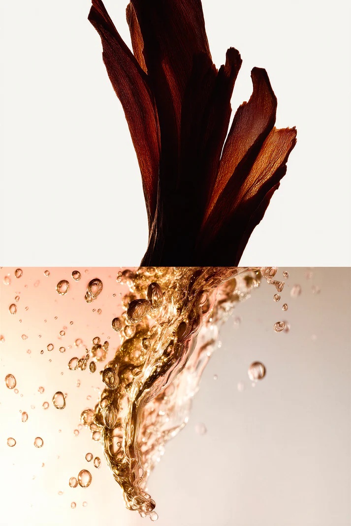 Santal Eau de Parfum - 100 ml