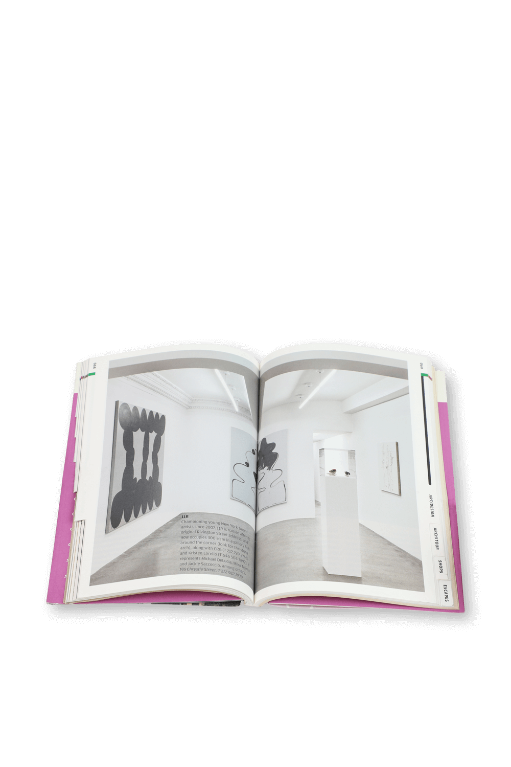 תמונת תקריב של Wallpaper* City Guide New York