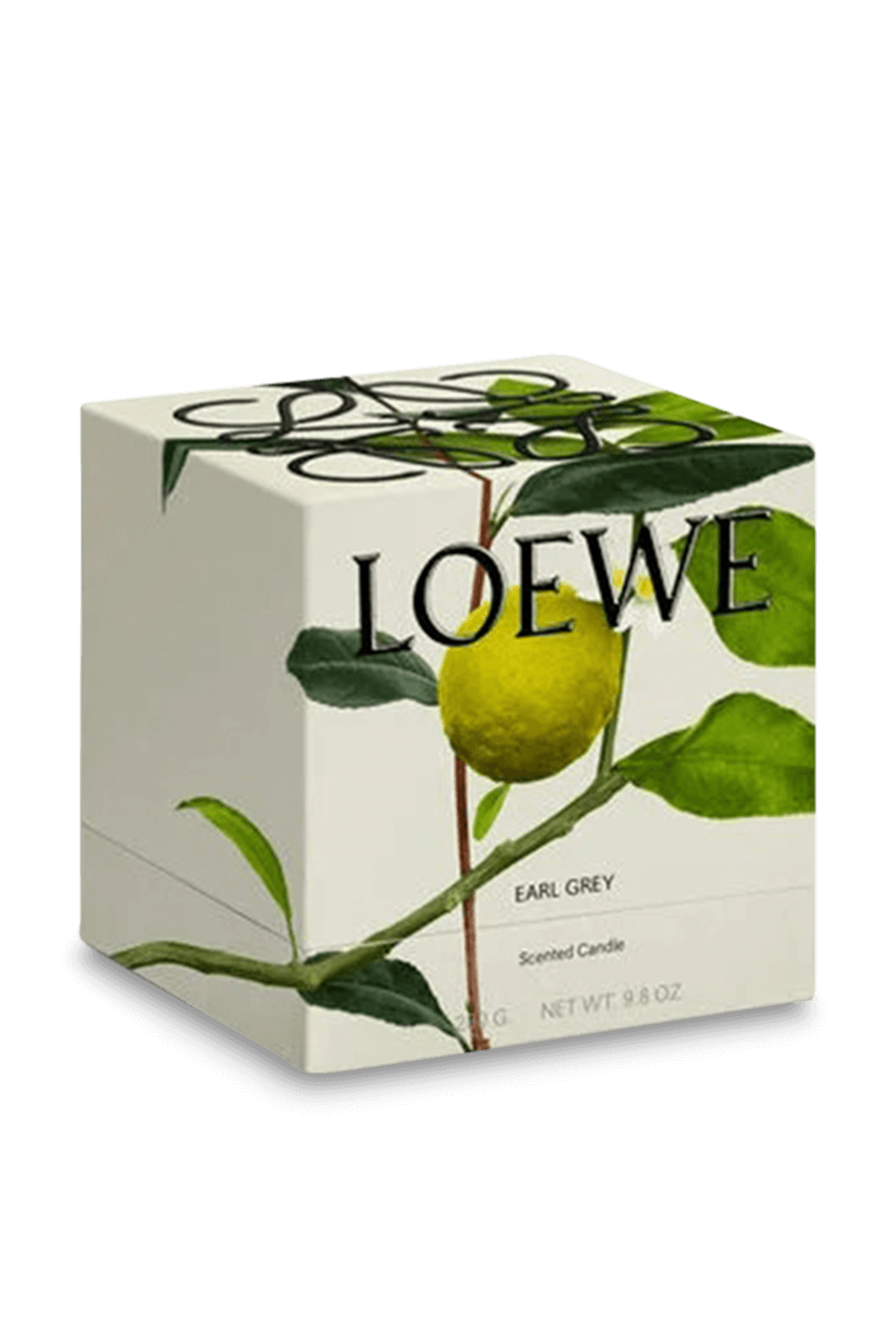 Loewe Earl Grey Scented Candle