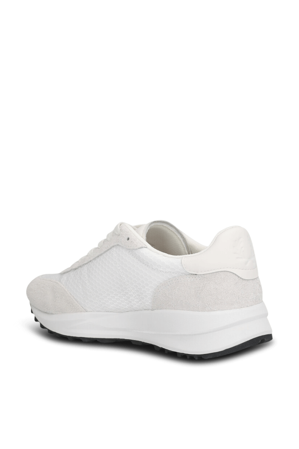 תמונה אחורית של נעלי סניקרס