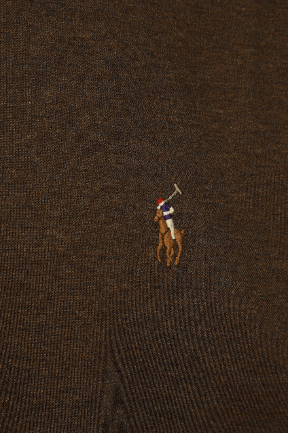 תמונת תקריב של Logo Polo Shirt in Brown