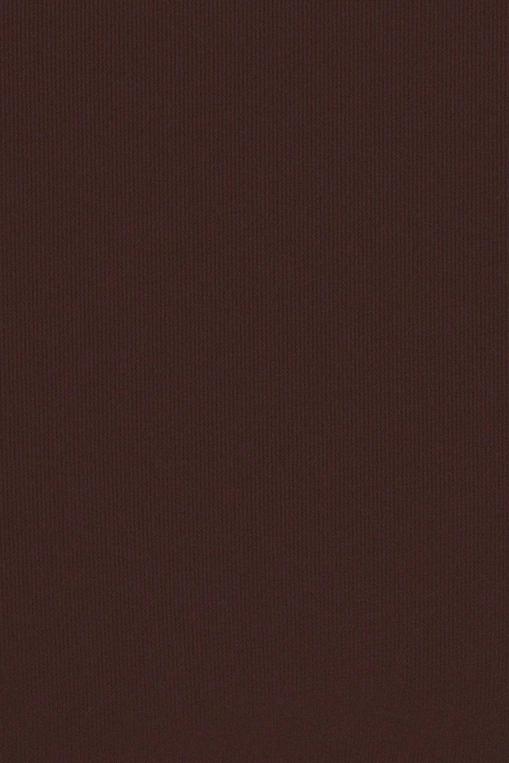 תמונת תקריב דוגמן של HIGH-WAISTED THONG