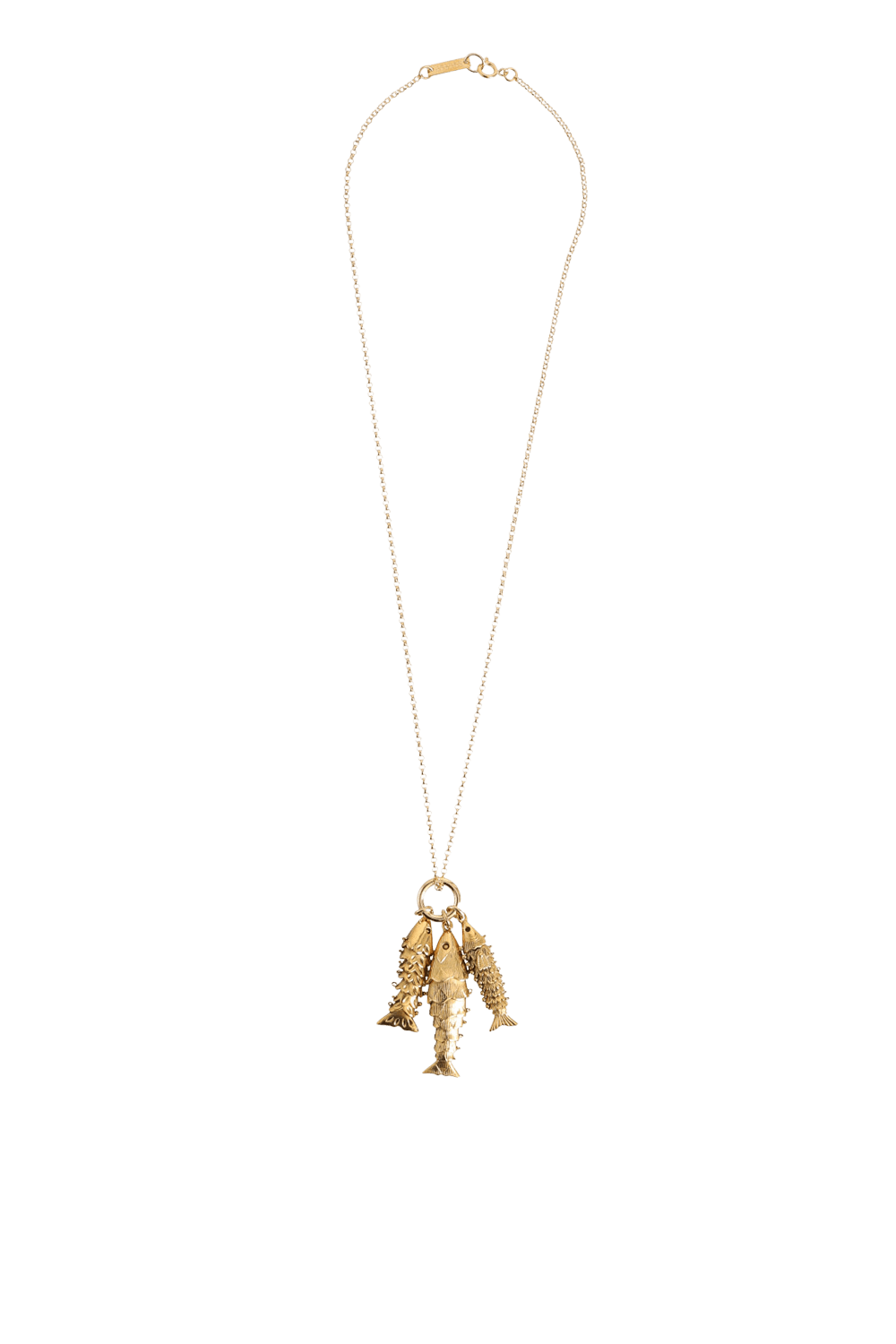 תמונה קידמית של שרשרת דגים