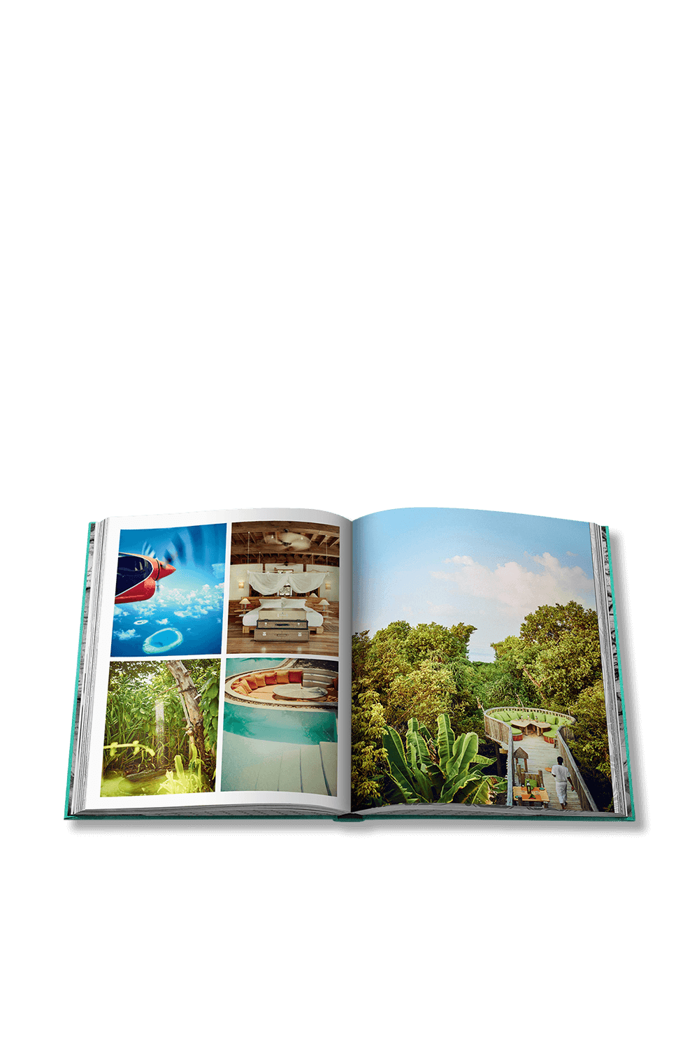 Chic Stays image number null ASSOULINE