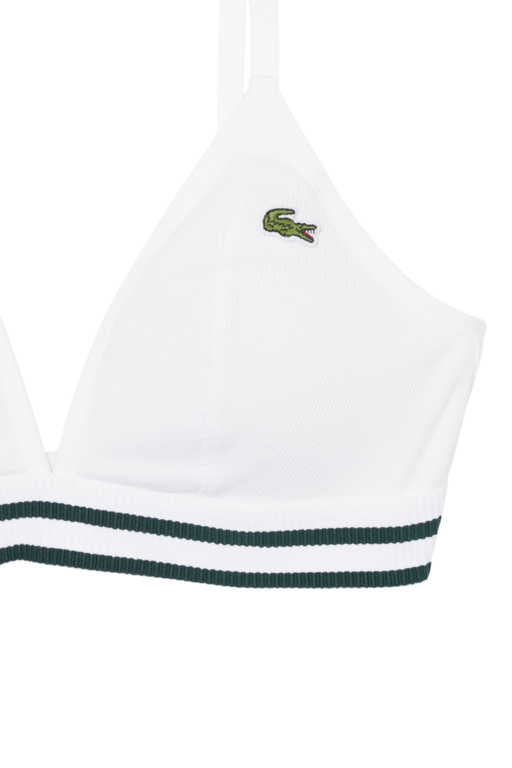 תמונת תקריב של חזייה