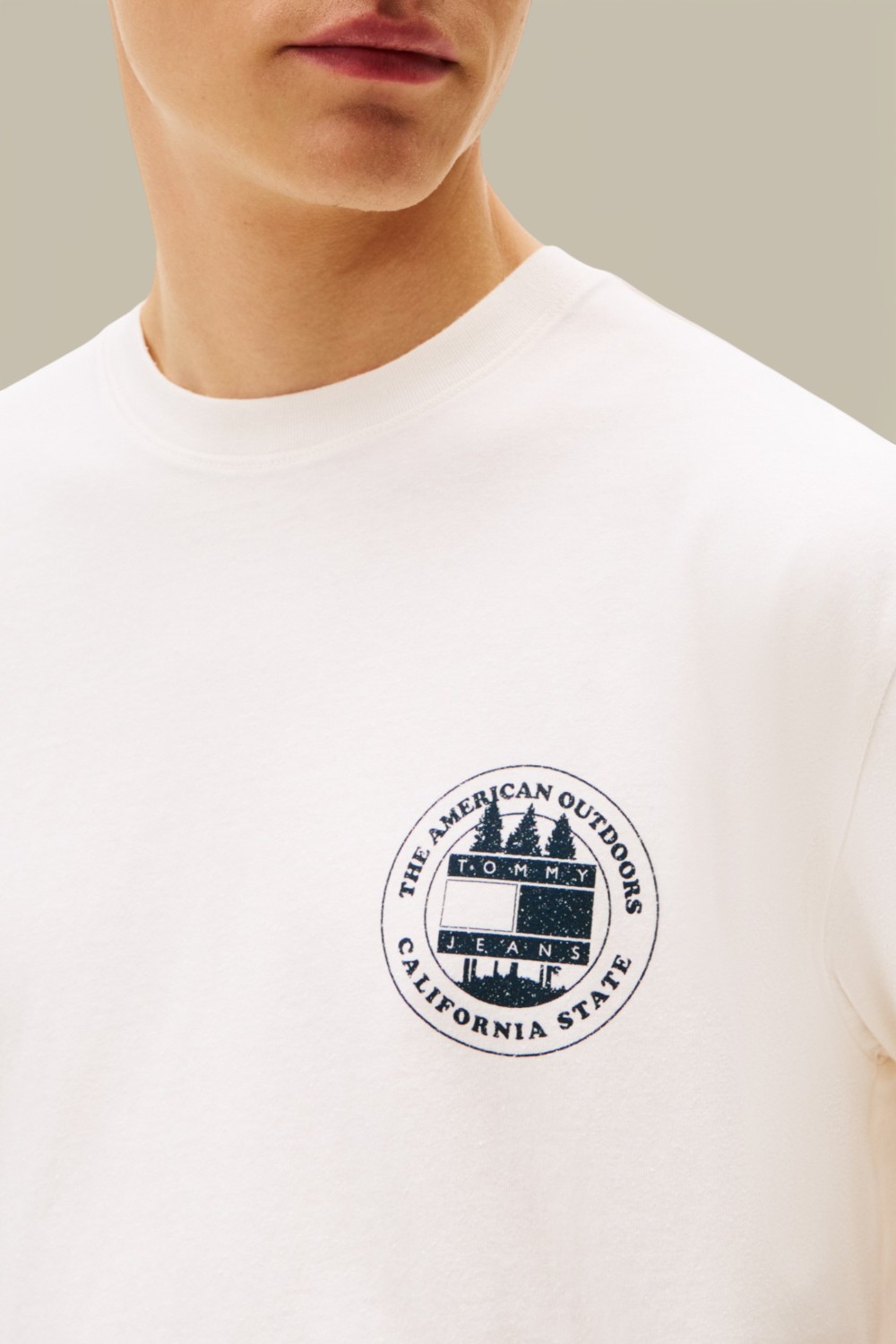 תמונת תקריב דוגמן של חולצת טי