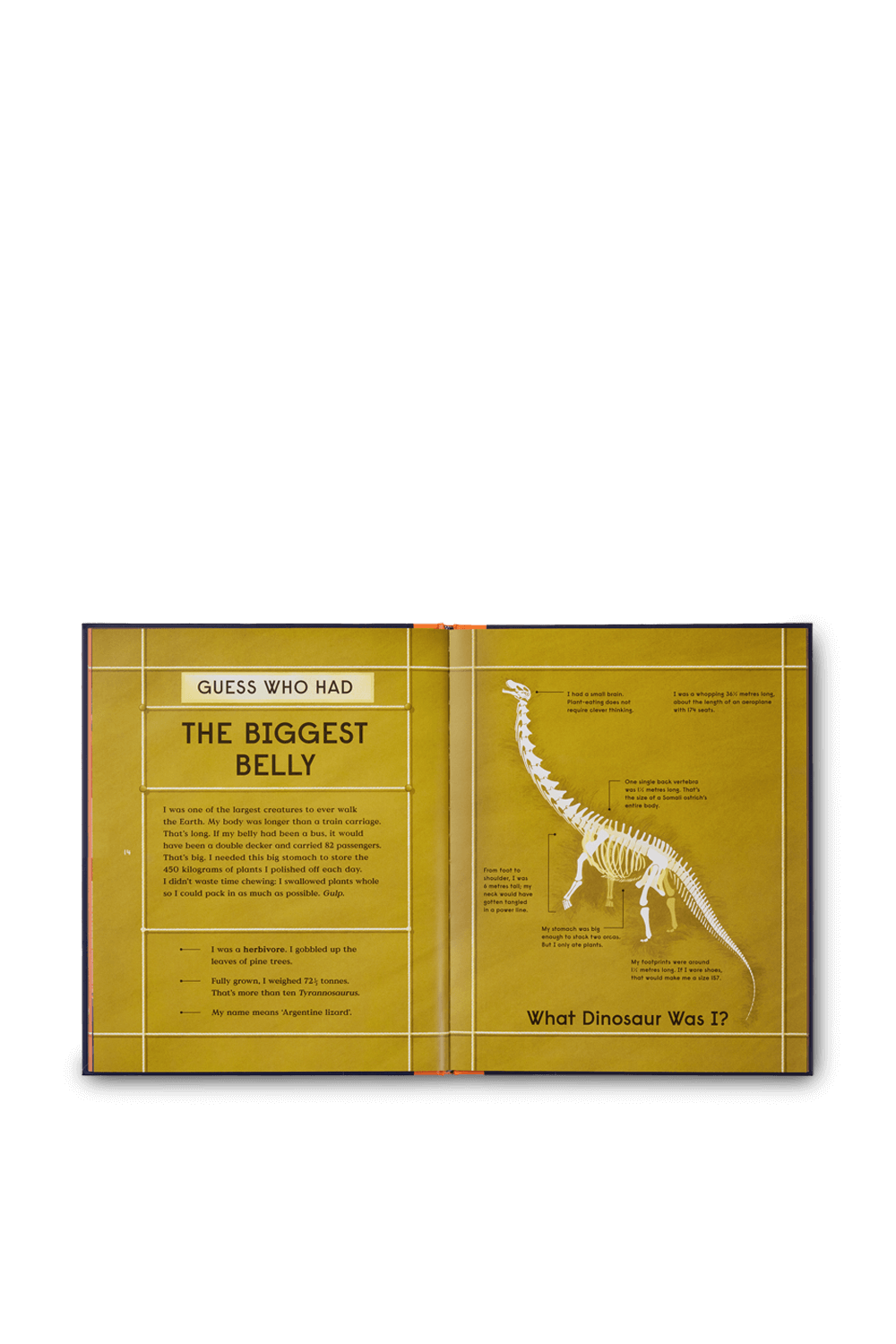 תמונת פנים של Book of Dinosaurs