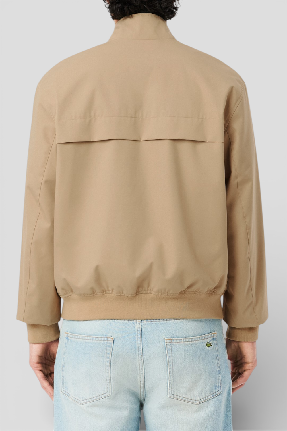 תמונת דוגמן אחורית של ז&rsquo;קט