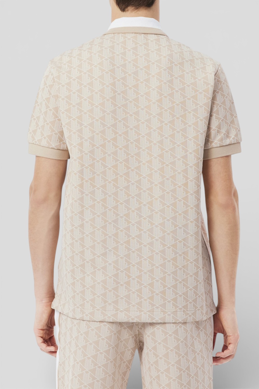 תמונת דוגמן אחורית של חולצת פולו