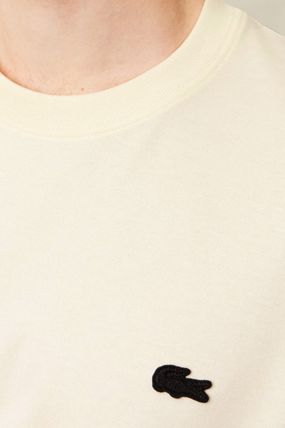 תמונת תקריב דוגמן של חולצת טי עם הדפס בגב