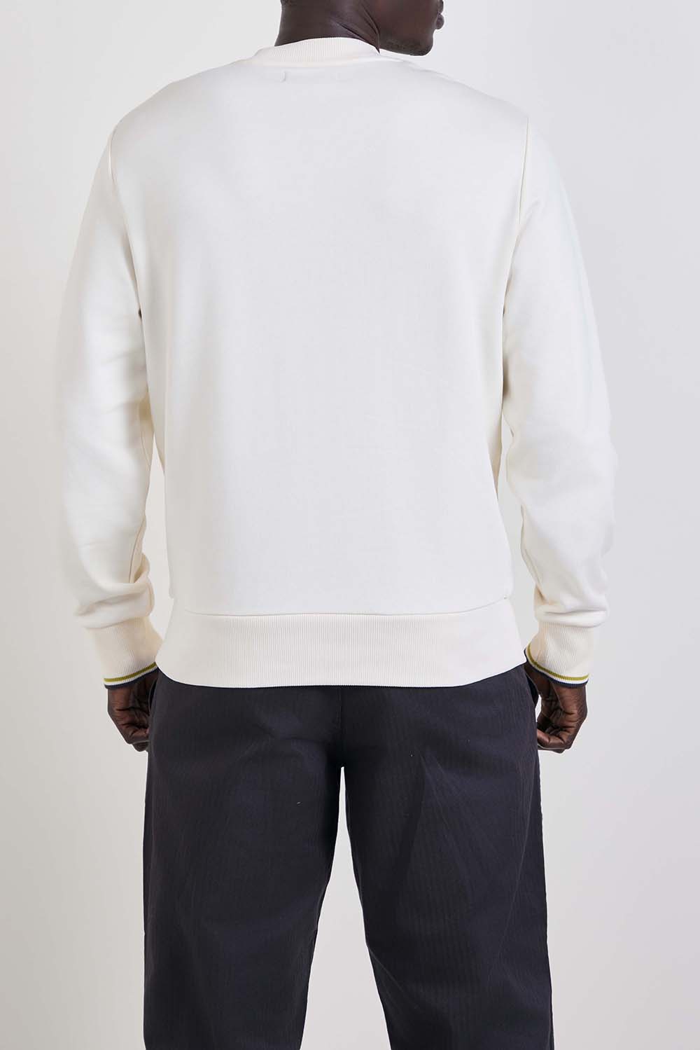 תמונת דוגמן אחורית של סווטשירט