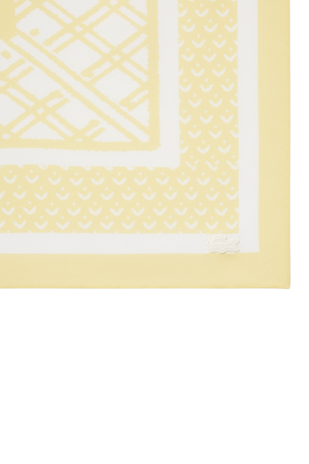 תמונה אחורית של מטפחת