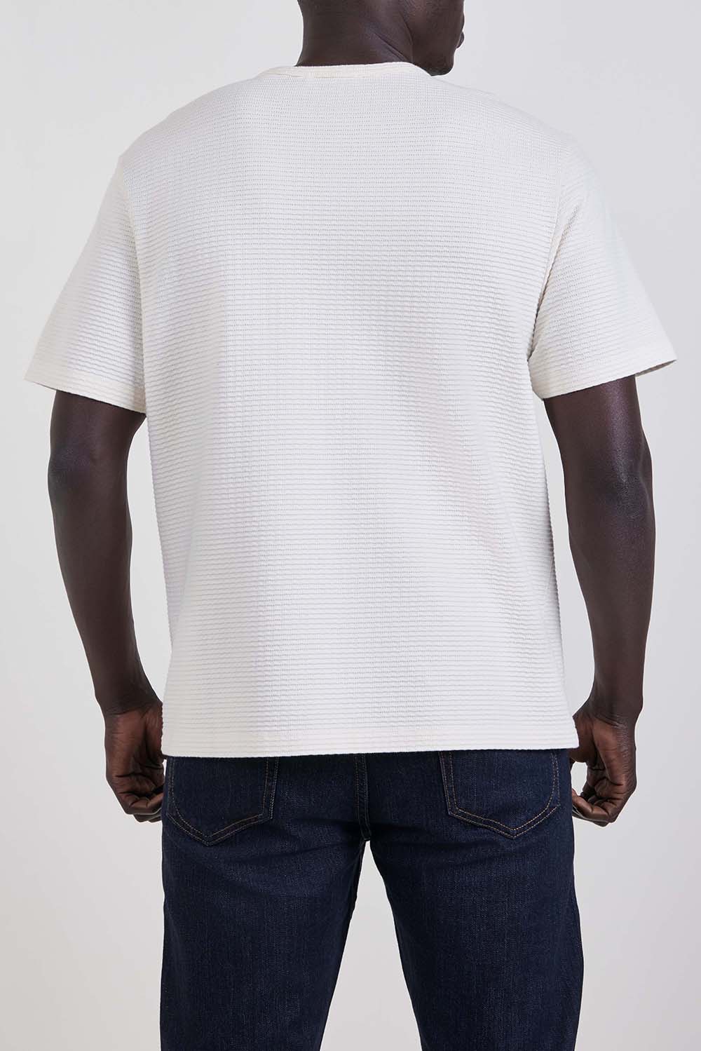 תמונת דוגמן אחורית של חולצת טי