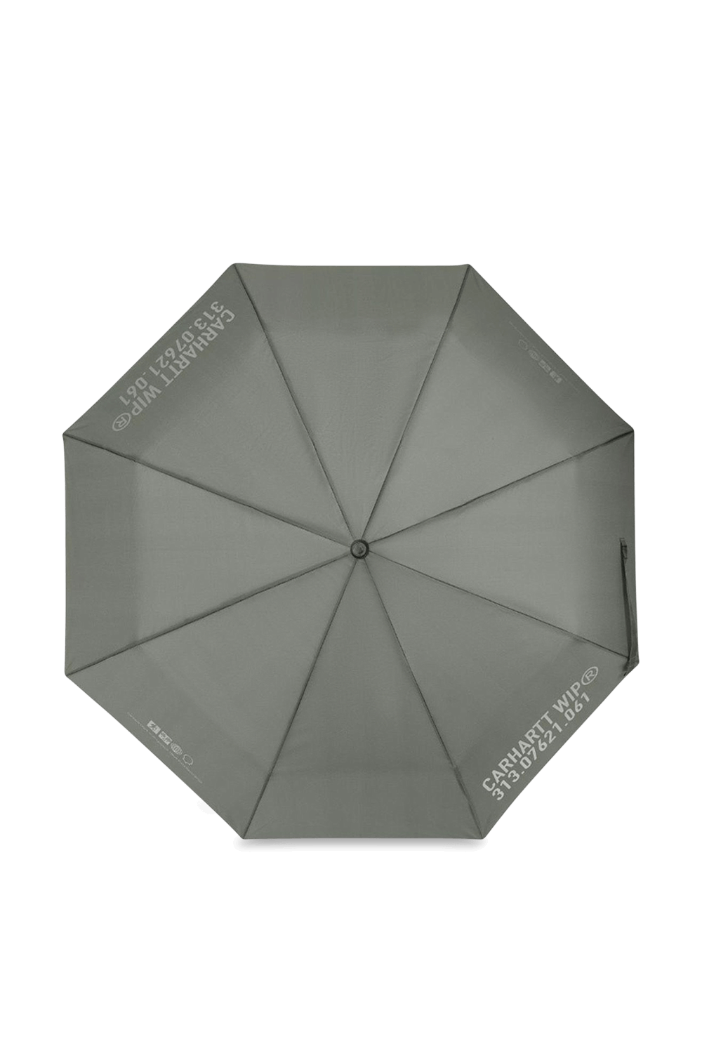 תמונה אחורית של מטריה