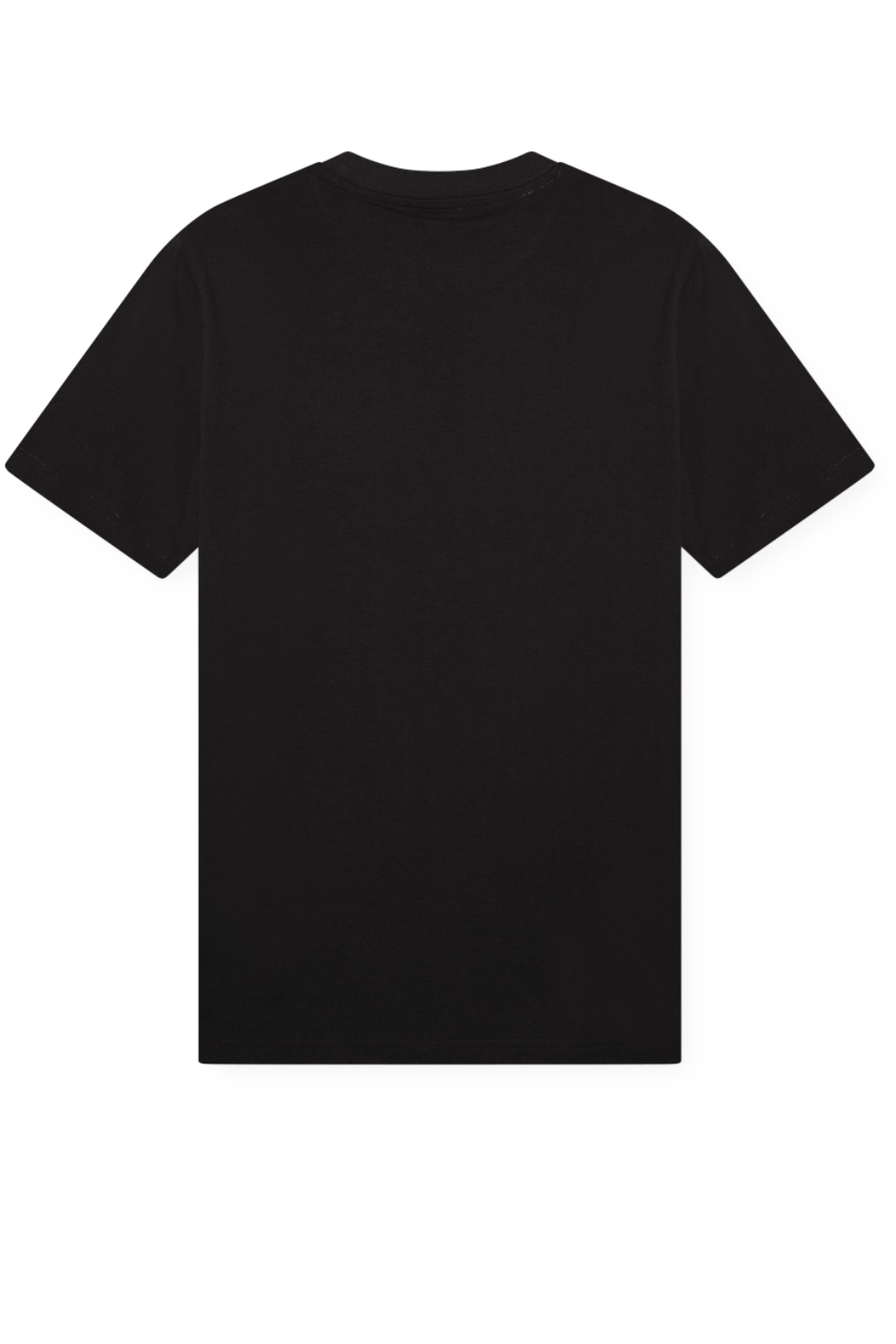 תמונה אחורית של חולצת טי