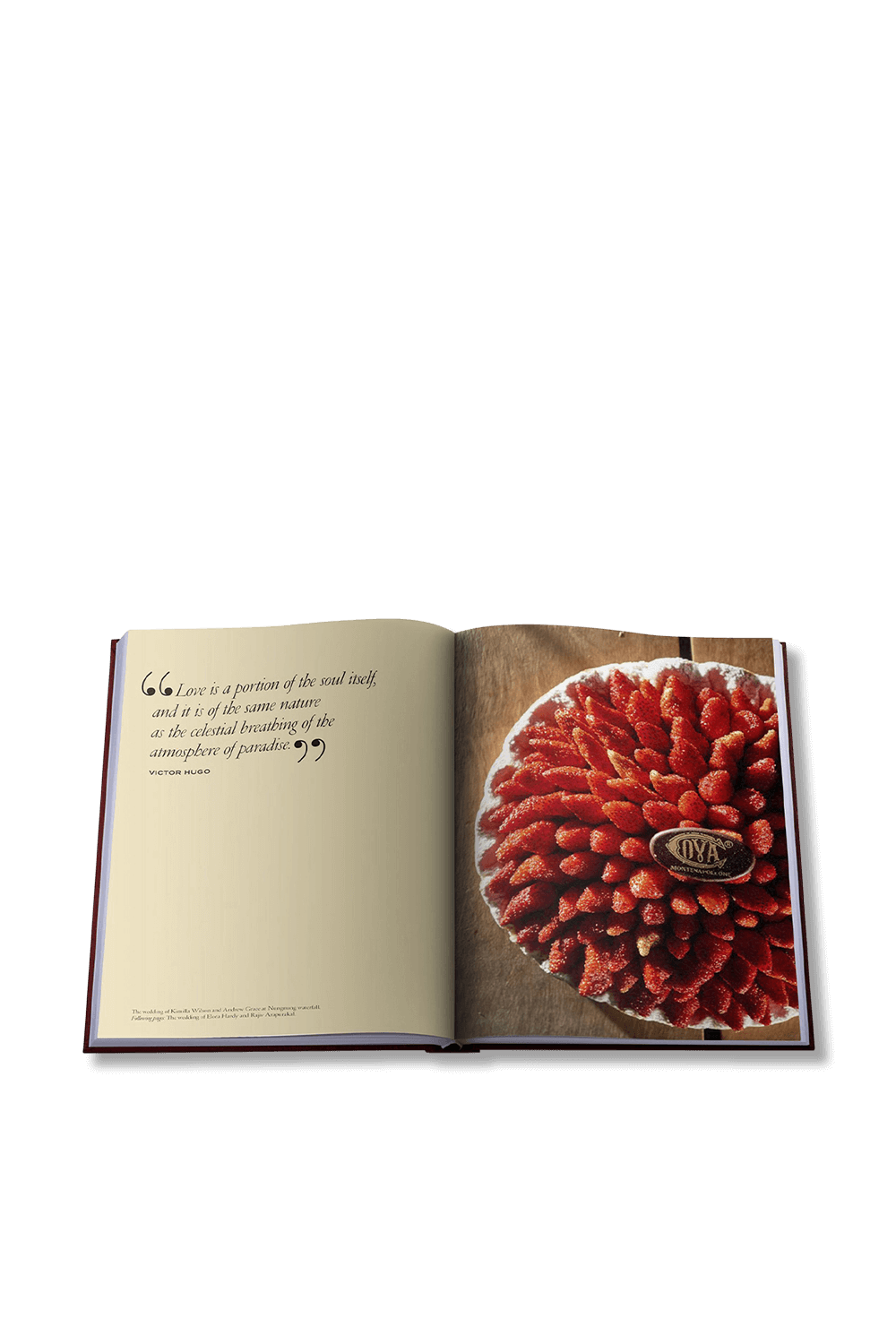 תמונת תקריב של Cova Milano