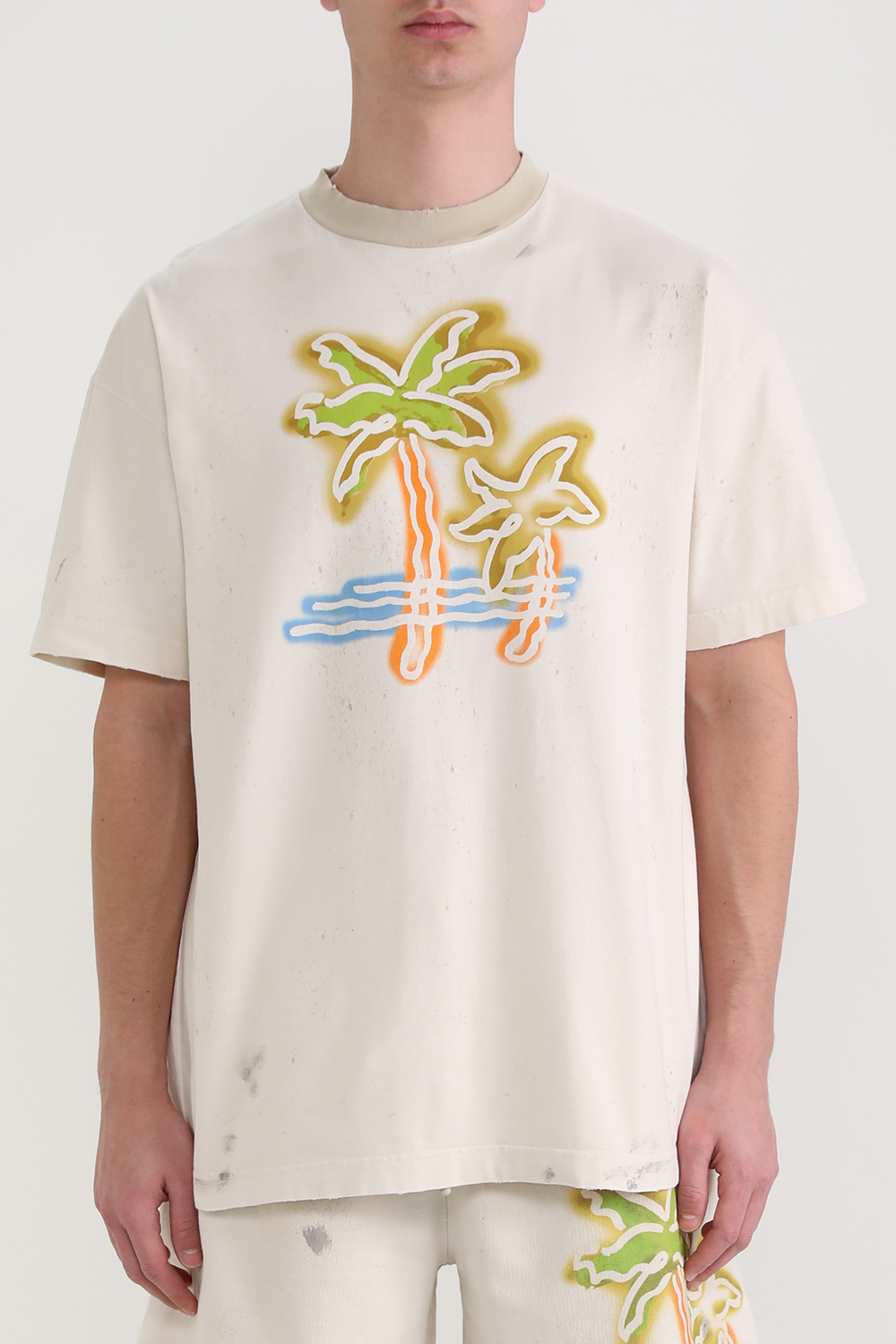 תמונת דוגמן קידמית של חולצת טי פאלם