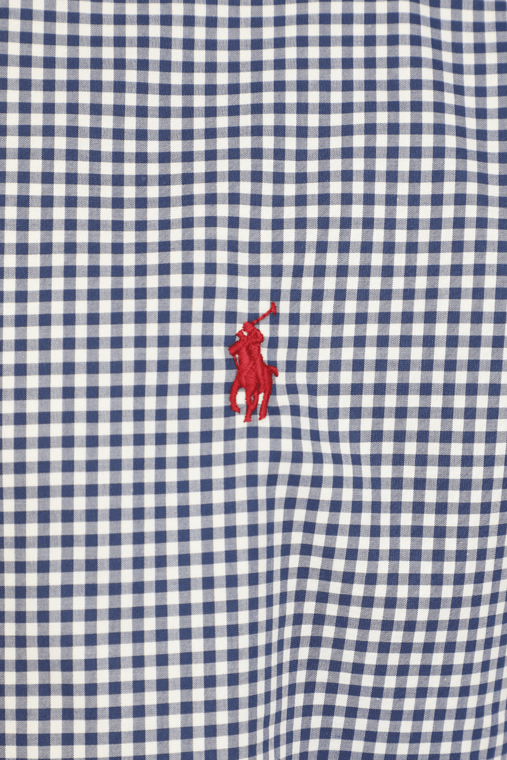 תמונה אחורית של Checked shirt in Blue and White