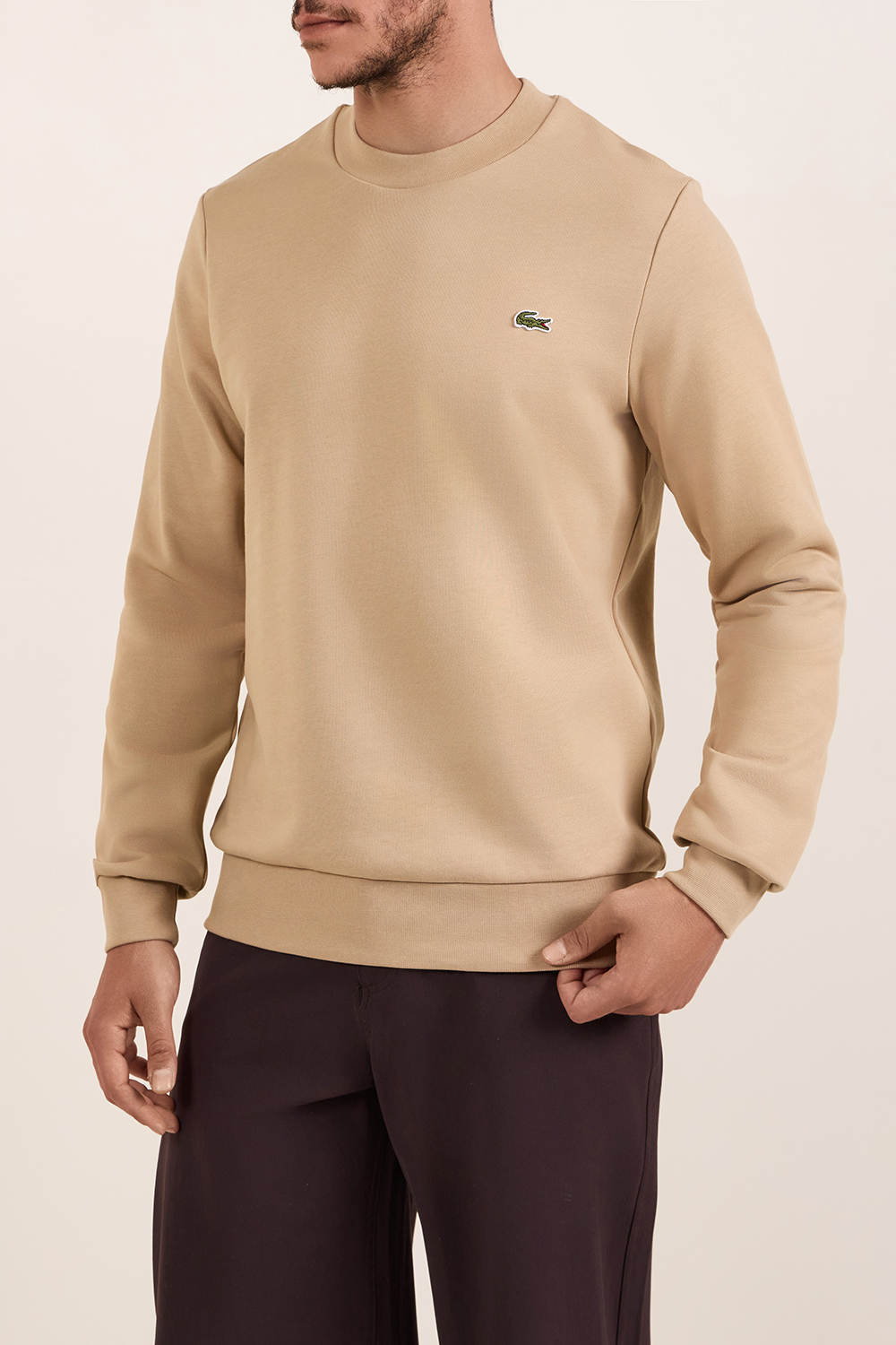 תמונת דוגמן קידמית של סווטשירט