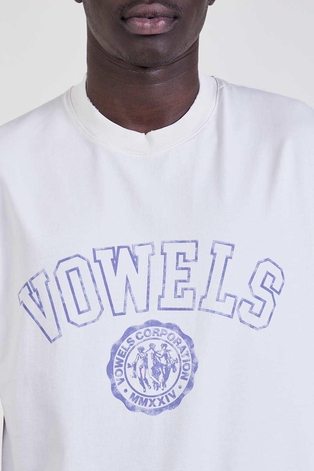 תמונת תקריב דוגמן של חולצת טי