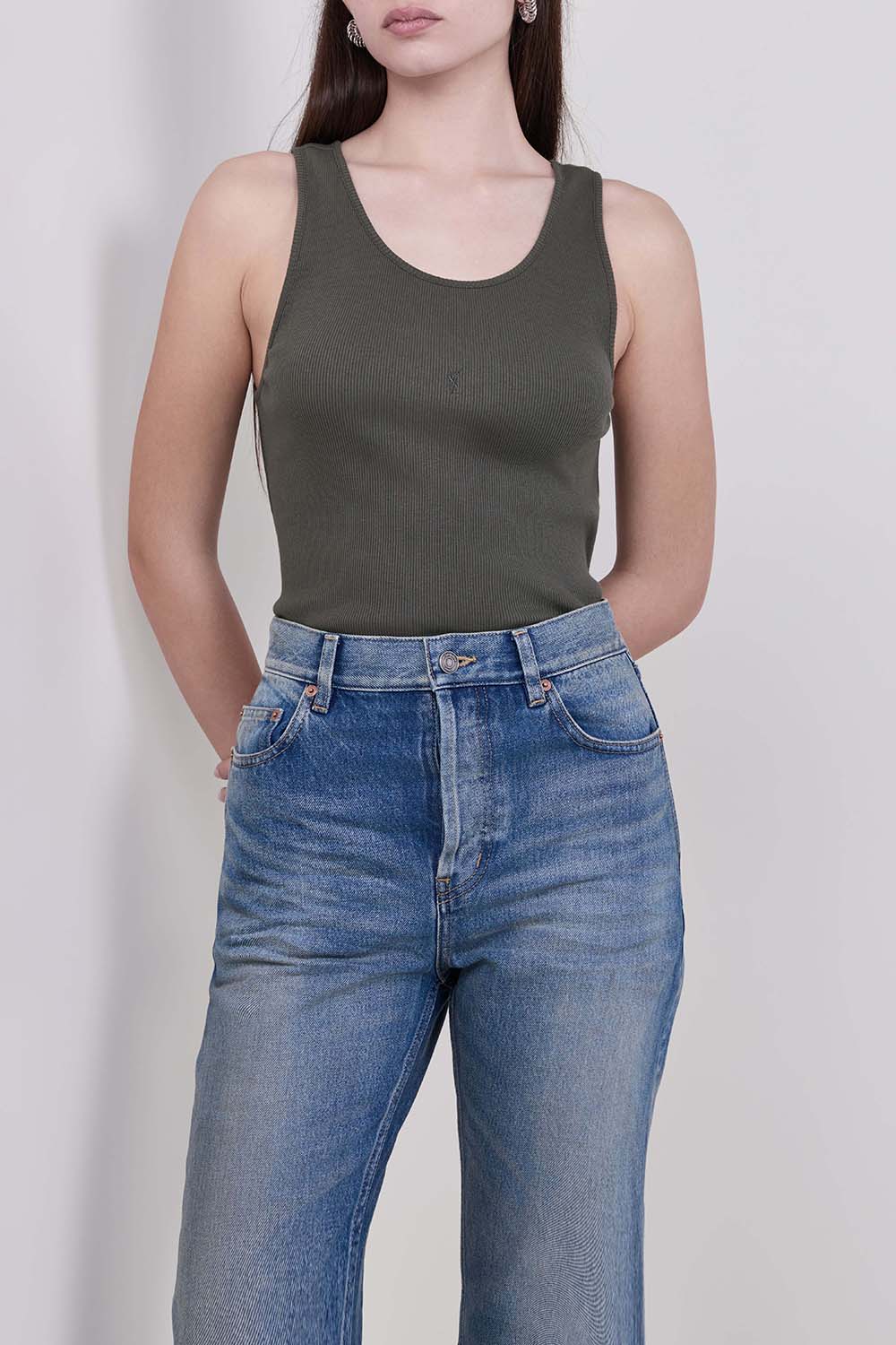 תמונת דוגמן קידמית של גופית ריב