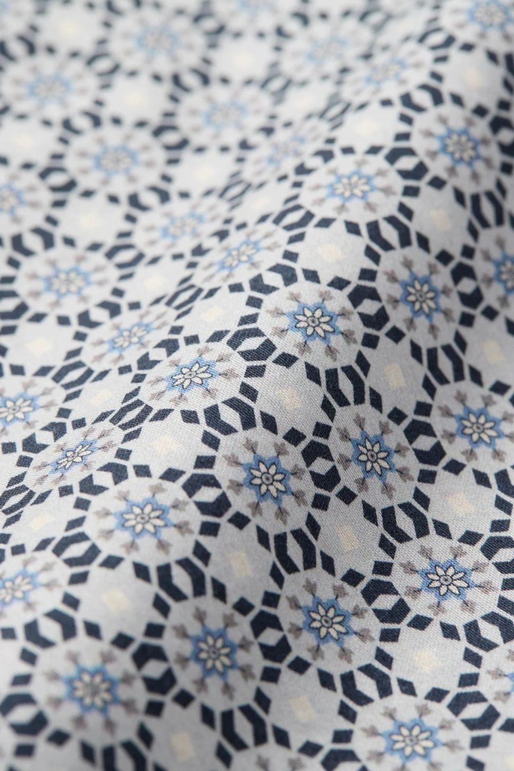 תמונה אחורית של בוקסר כותנה