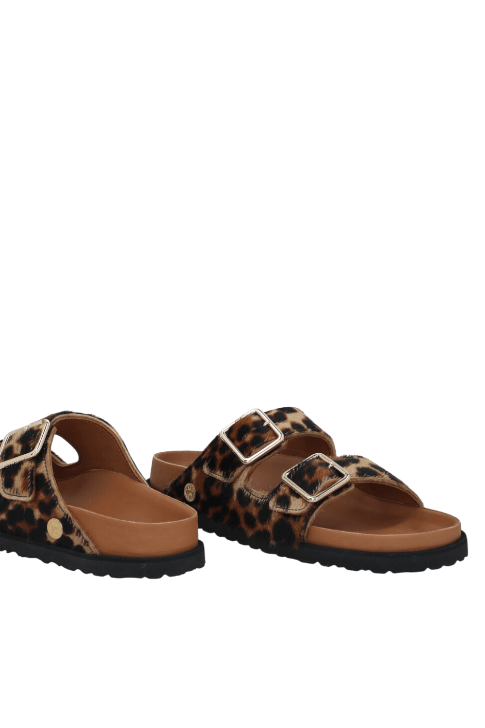 תמונת תקריב של נעלי אריזונה