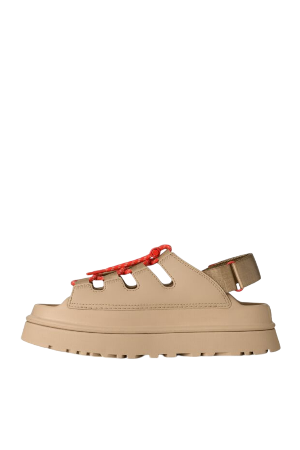 תמונה אחורית של סנדלי גולדן גלאו טוגל