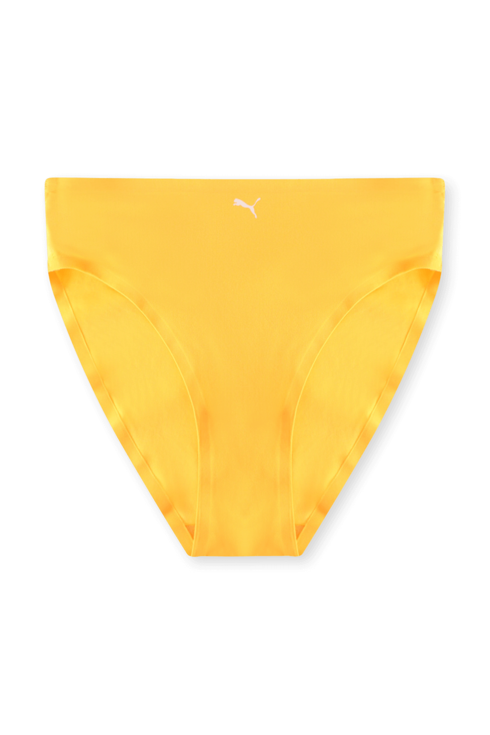 תמונה אחורית של זוג תחתוני בריף