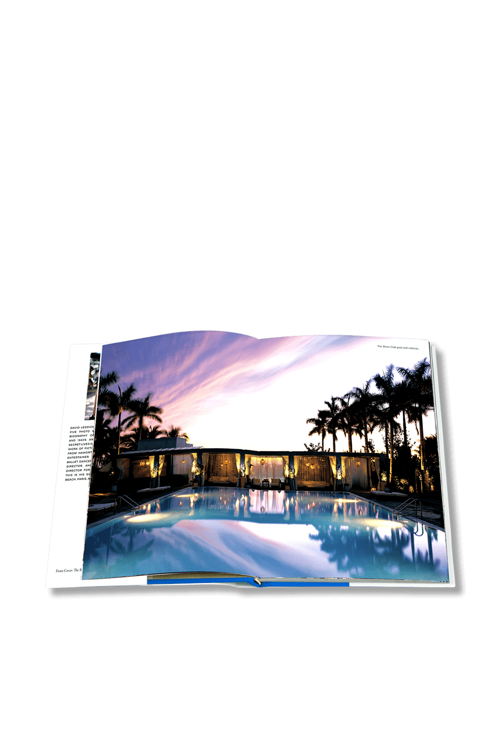 תמונת פנים של ברוח של מיאמי ביצ'