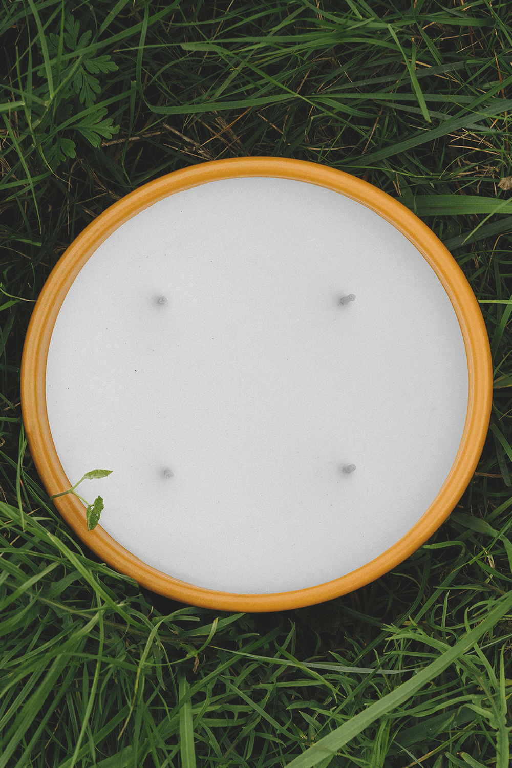 תמונת פנים של Loewe Ginger Outdoor Scented Candle