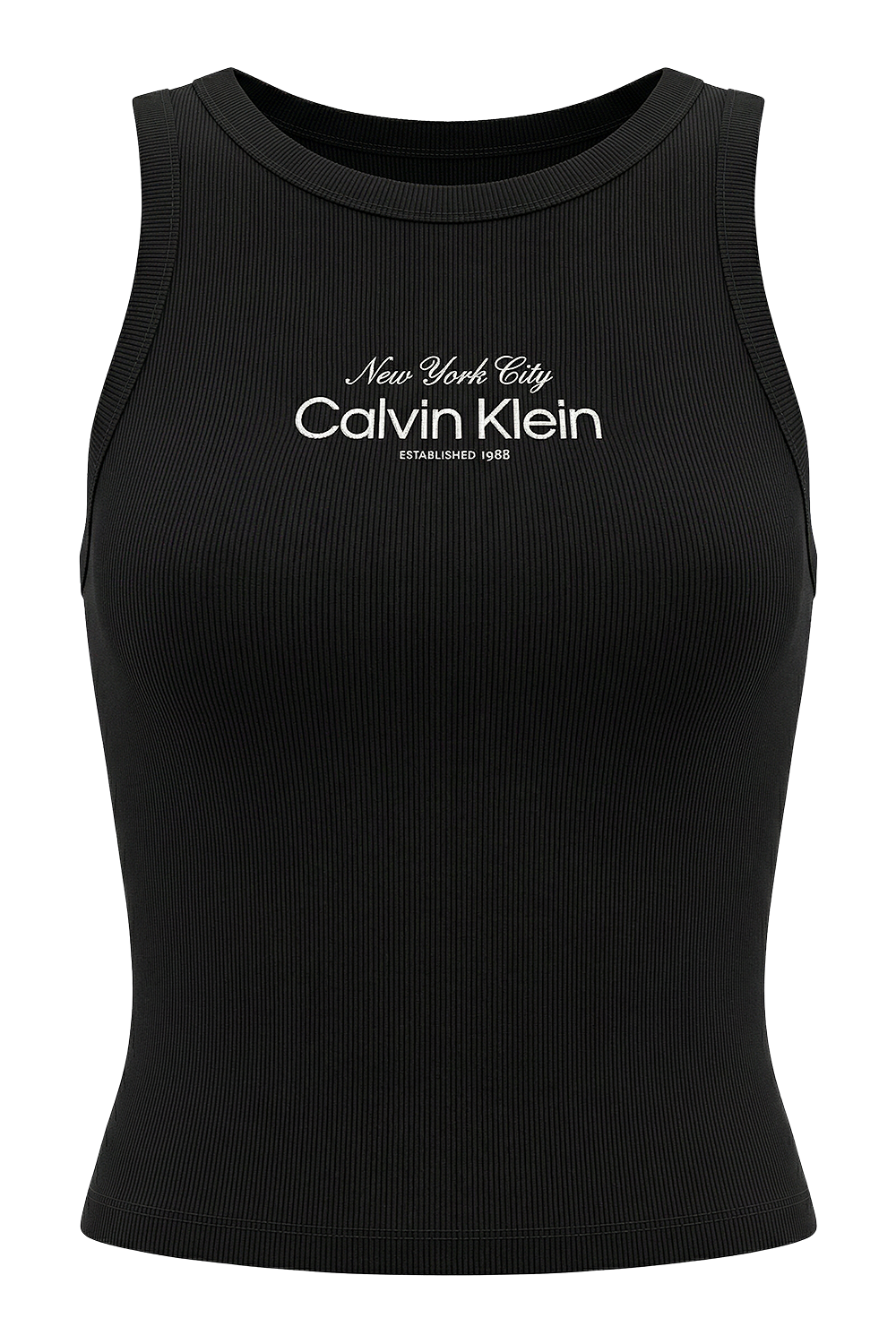 תמונה קידמית של גופית ריב