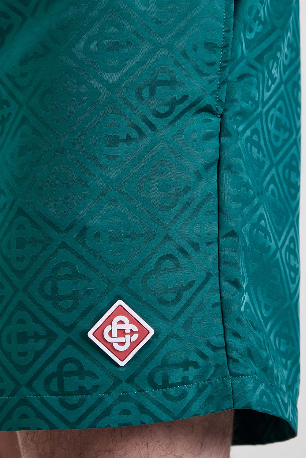 תמונת תקריב דוגמן של מכנסי בגד ים