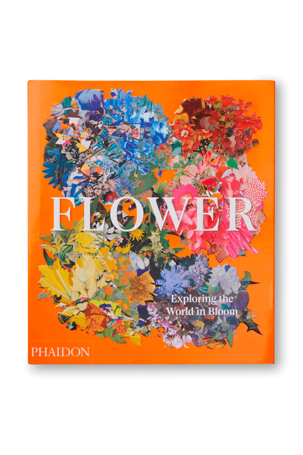 תמונה קידמית של Flower