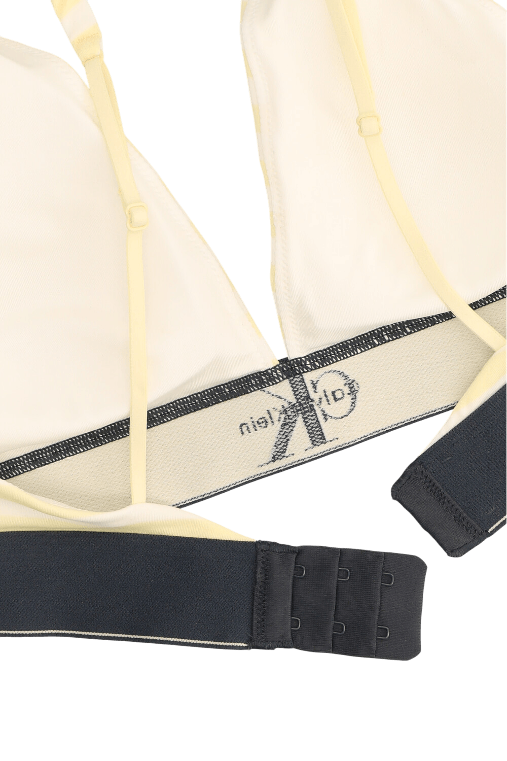 תמונה אחורית של חזיית משולשים