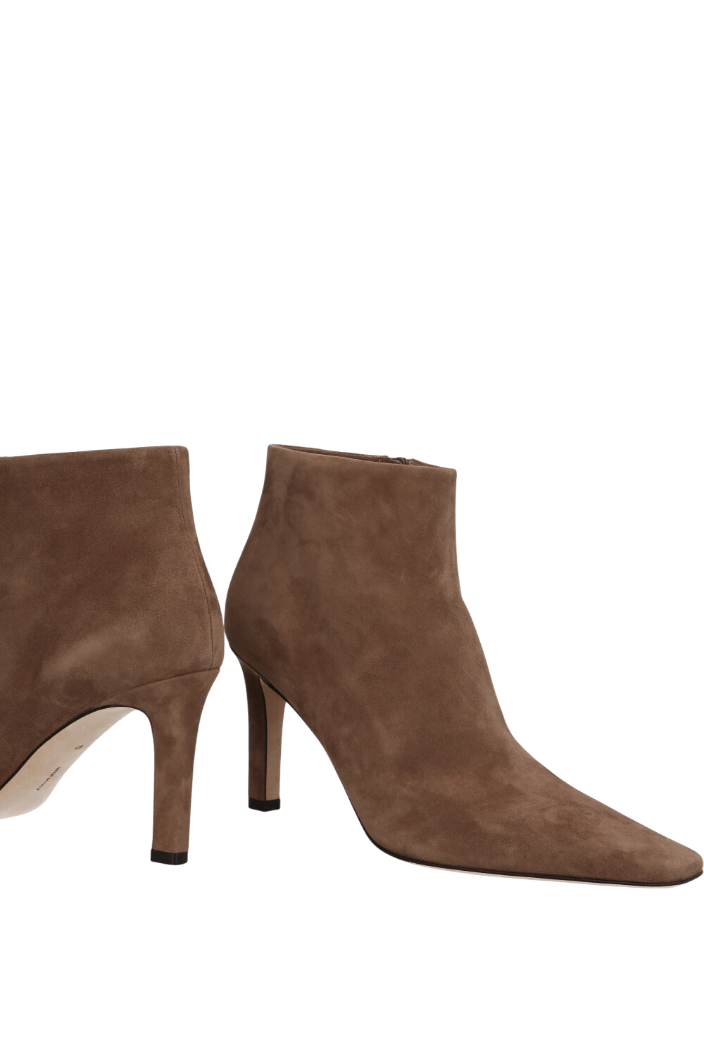 תמונת תקריב של מגפוני עקב קלרה