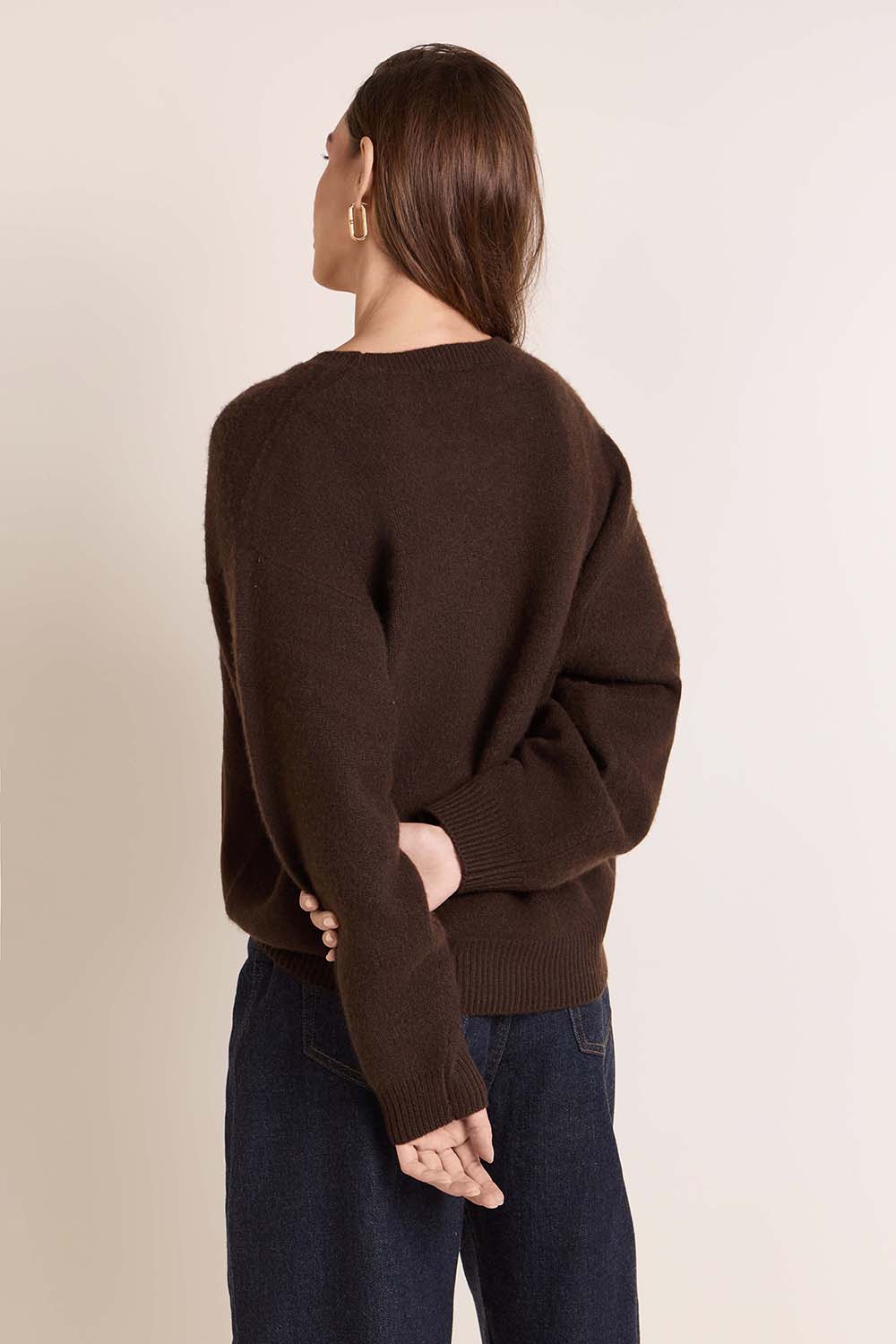 תמונת דוגמן אחורית של סריג קשמיר