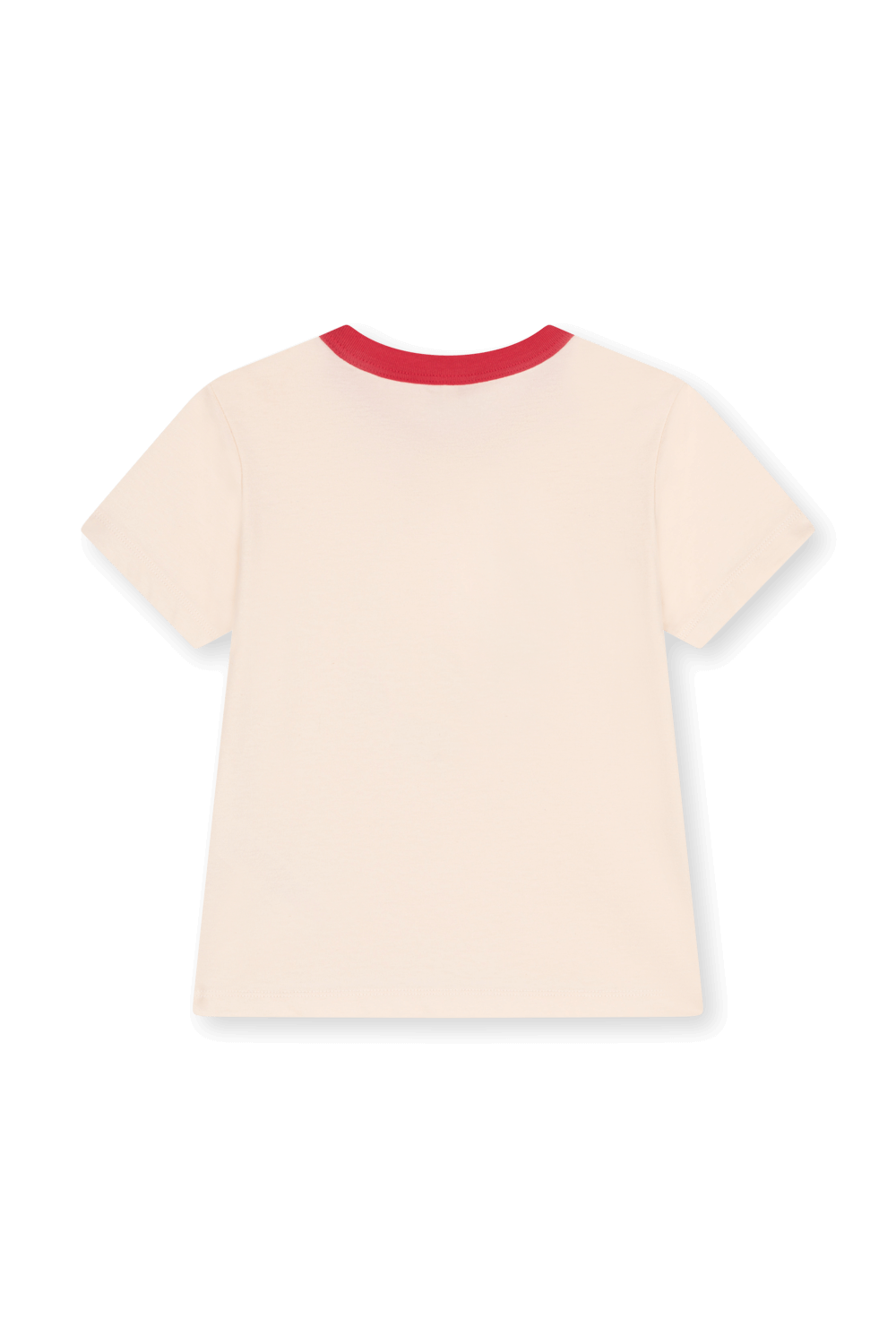 תמונה אחורית של חולצת טי