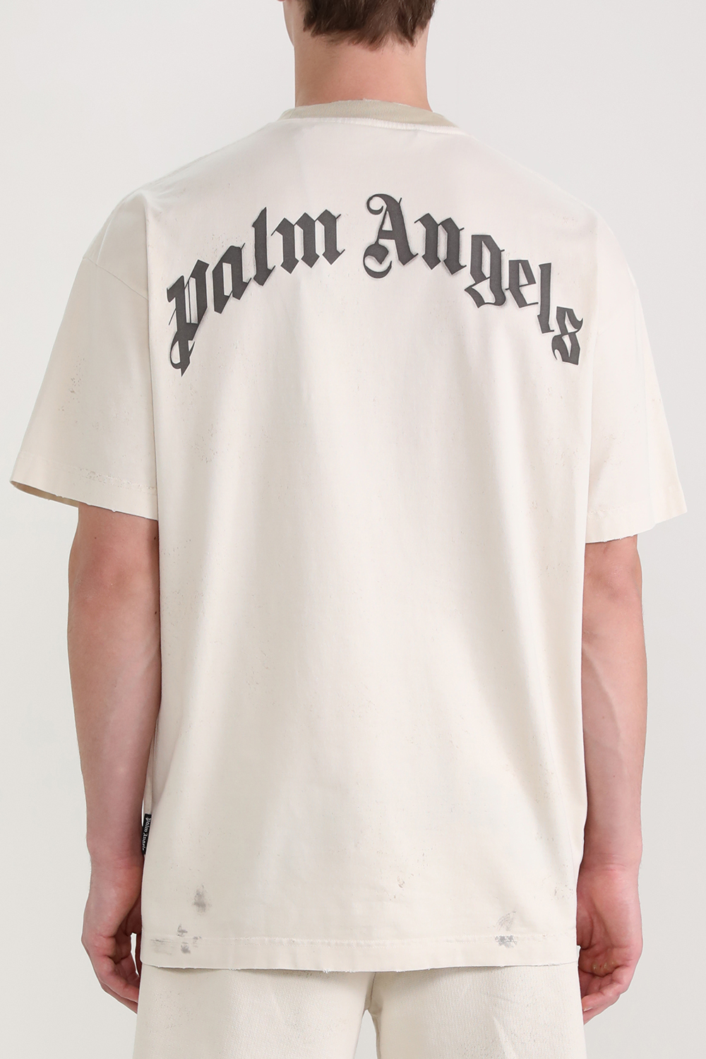 תמונת דוגמן אחורית של חולצת טי פאלם