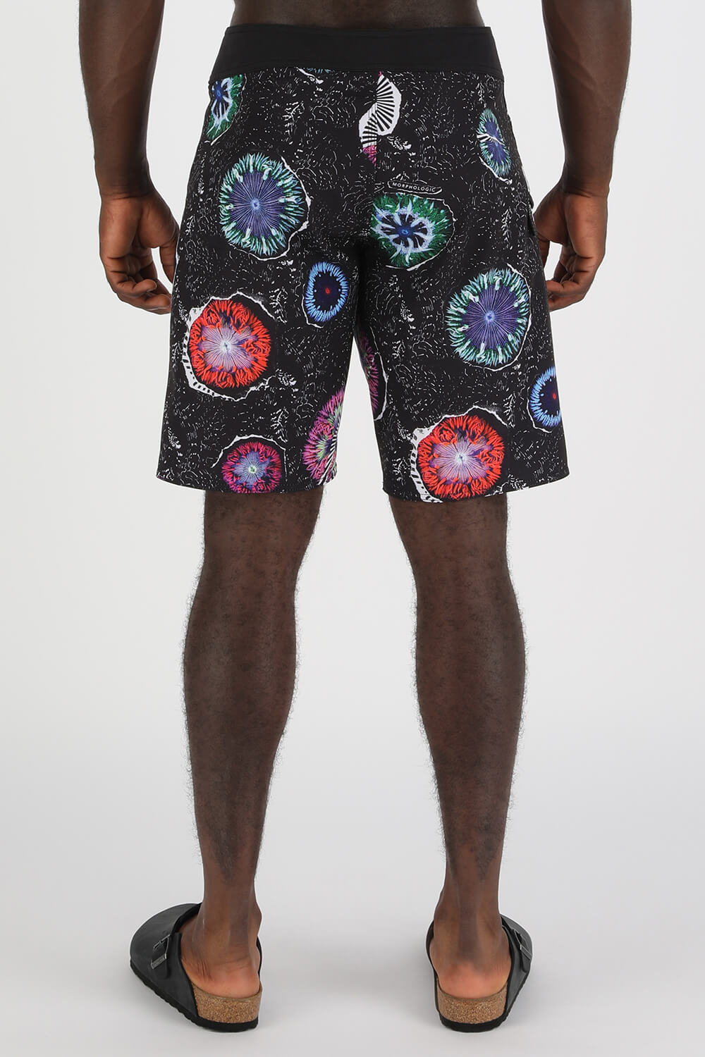 תמונת דוגמן אחורית של Coral Morph Swimshorts in Black