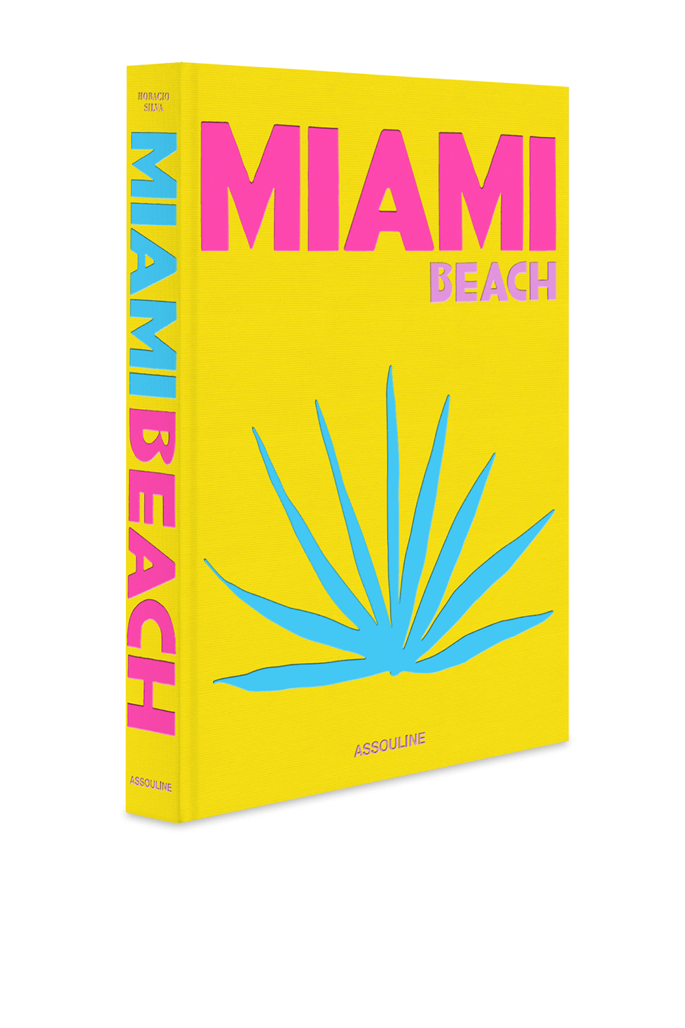 תמונה אחורית של Miami Beach