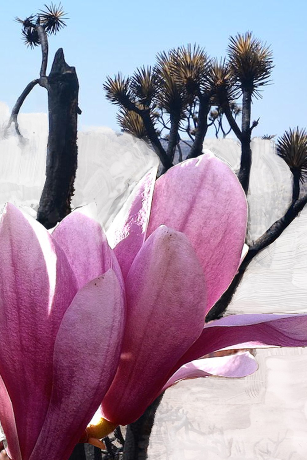 תמונת פנים של Mojave Ghost Eau de Parfum 50 ML