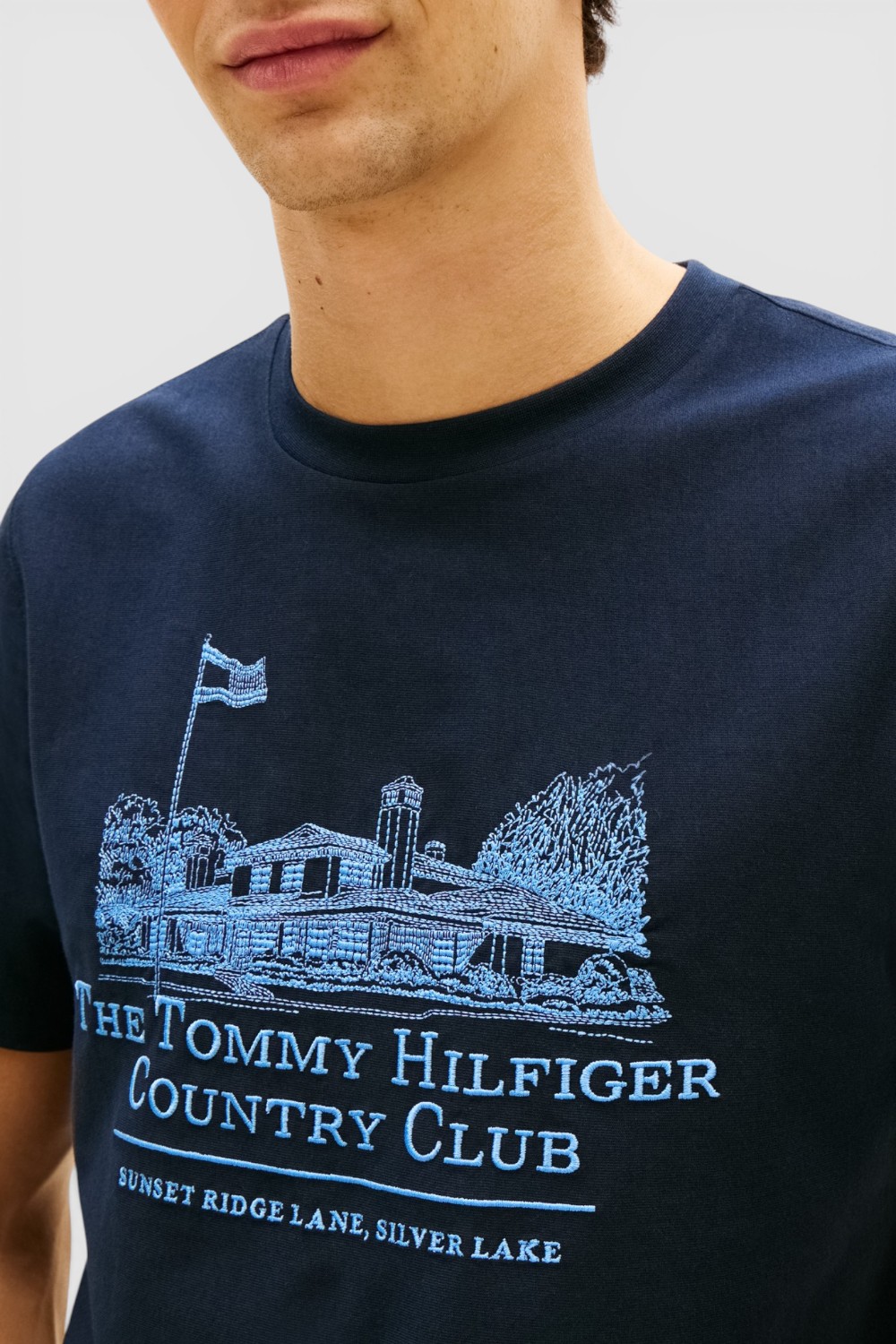 תמונת תקריב דוגמן של חולצת טי