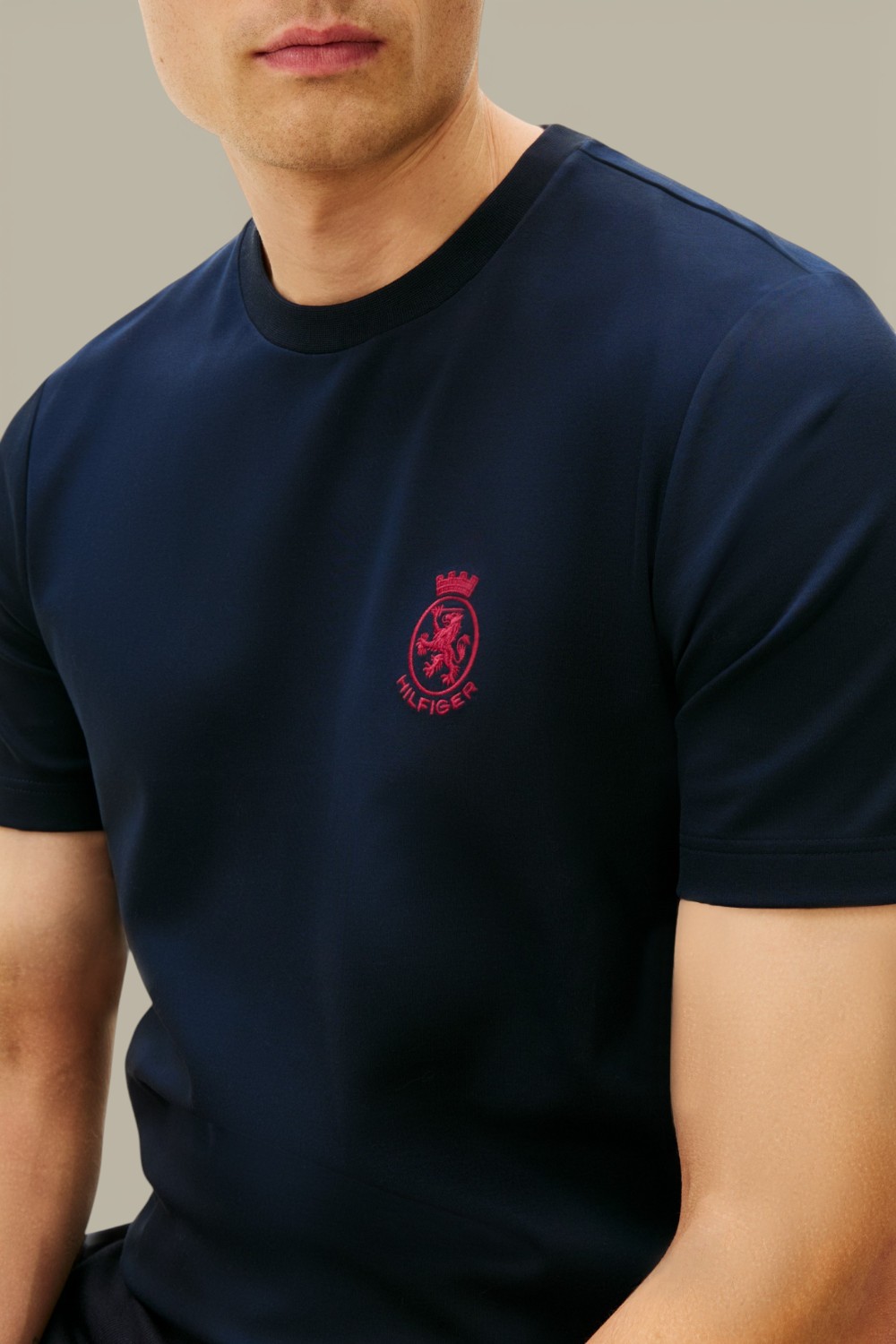 תמונת תקריב דוגמן של חולצת טי