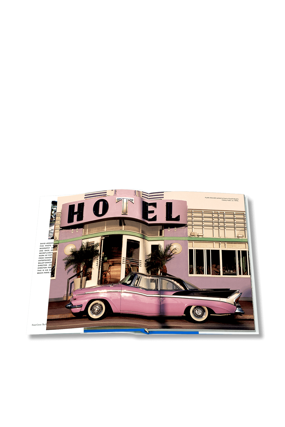 תמונת תקריב של ברוח של מיאמי ביצ'