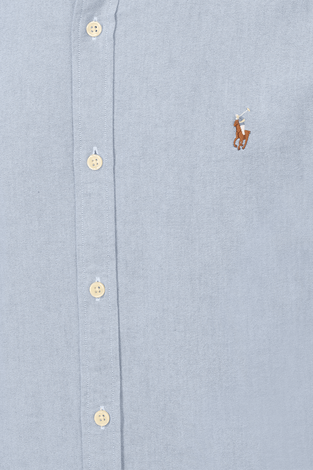 תמונה אחורית של Slim Fit Mesh Oxford Sport Shirt in Blue