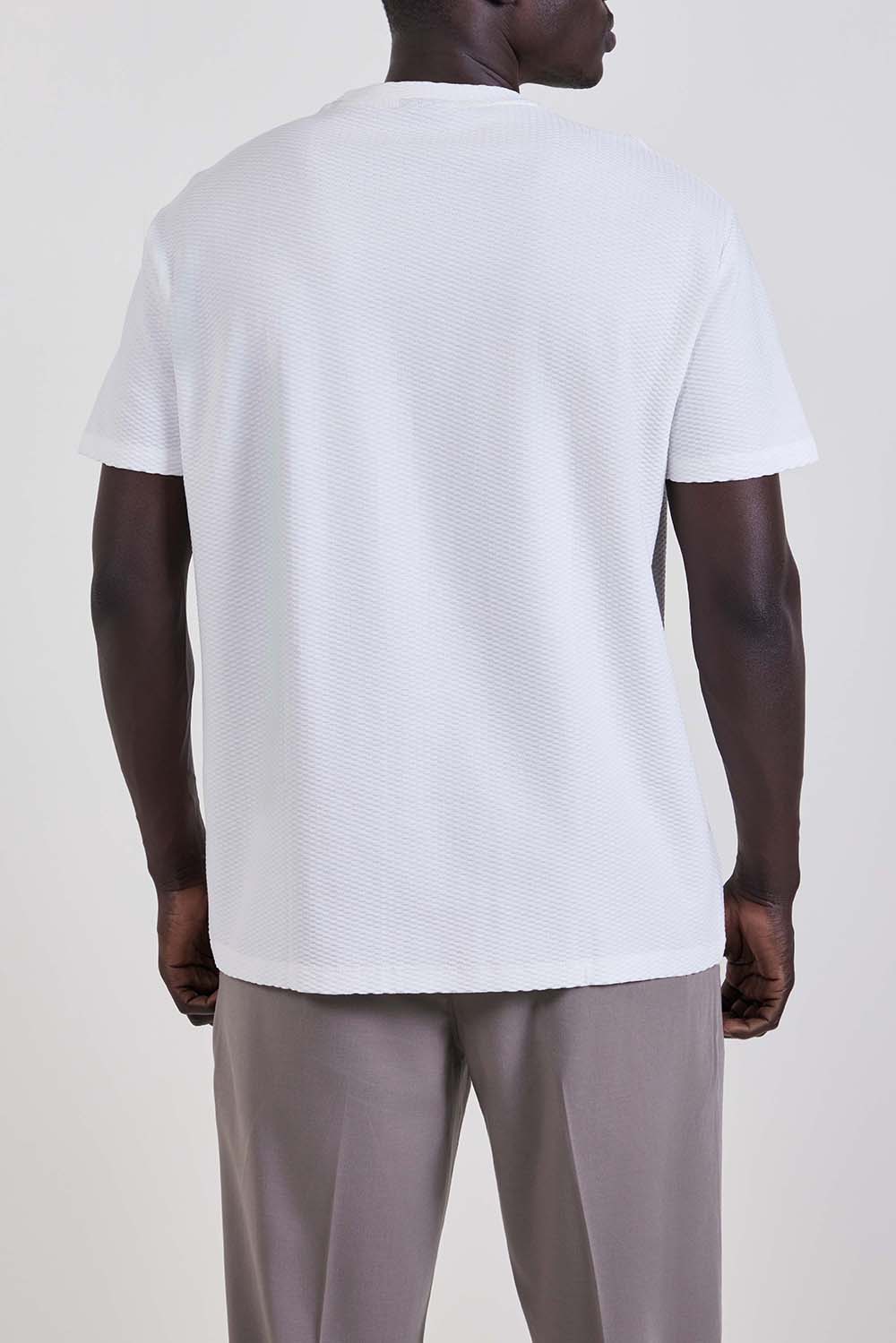 תמונת דוגמן אחורית של חולצת טי